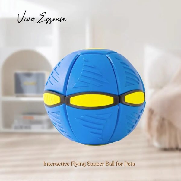 Interactive Flying Saucer Ball for Pets Lights & Dual Play Modes For Sale