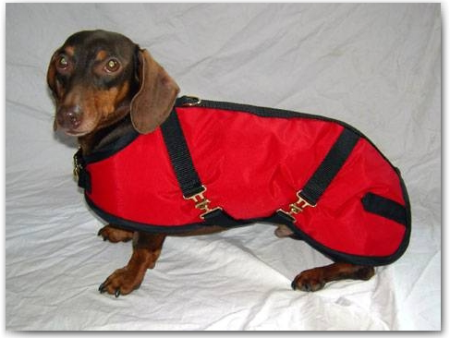 Foggy Mountain Dog Coat Nylon Turnout, Small Sizes (8-12) For Discount