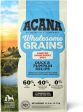 Acana Singles Wholesome Grains Dog Dry Food Duck & Pumpkin Online now