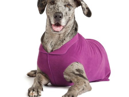 Gold Paw Dog Stretch Fleece, Large Sizes (18-26) on Sale