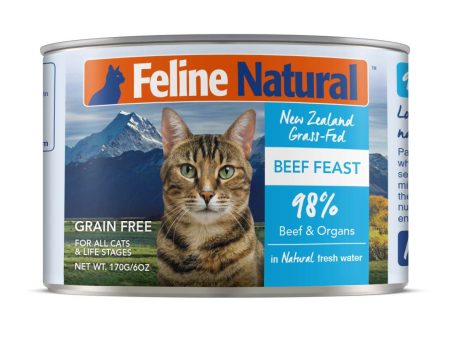 Feline Natural Grain Free Cat Can Food Beef For Sale