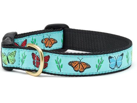 Up Country Dog Collar Butterfly Effect on Sale