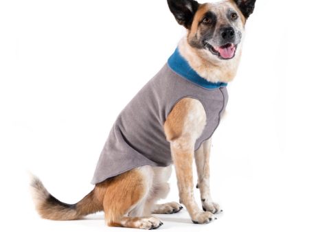 Gold Paw Dog Double Fleece, Large Sizes (18-26) Online Hot Sale