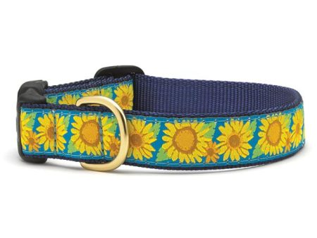 Up Country Dog Collar Bright Sunflower Fashion