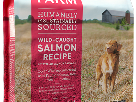 Open Farm Grain Free Dog Dry Food Wild Salmon Online now