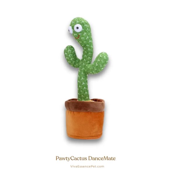 PawtyCactus DanceMate – Pet Play Companion For Discount