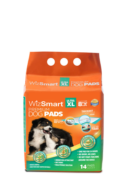 Wizsmart Dog Ultra Premium Training Pee Pads 23.5  x 31.5  XLarge Online Hot Sale