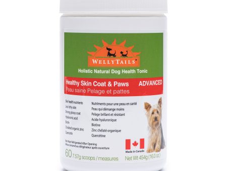 WellyTails Healthy Skin Coat & Paws Dog  ADVANCED (original Rx formula updated) For Cheap