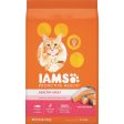 Iams Proactive Health 16 Lb. Salmon & Tuna Flavor Adult Cat Food For Discount