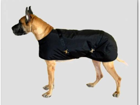 Foggy Mountain Dog Coat Nylon Turnout, Large Sizes (18-28) Online Hot Sale