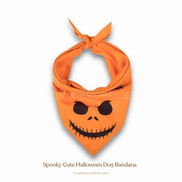 Spooky Cute Halloween Dog Bandana - Soft & Washable For Sale