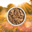 Acana Grain Free Dog Can Food Premium Chunks Duck Recipe Sale