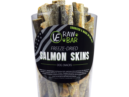 Vital Essentials Dog Freeze Dried Raw Bar Salmon Skin Fashion