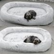 Cozy Oversized Pet Bed for Dogs & Humans - Calming, Washable Online Hot Sale