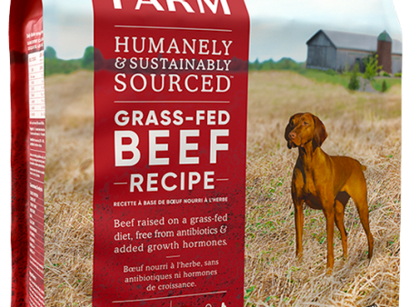 Open Farm Grain Free Dog Dry Food Beef Online