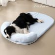 ChillBuddy Pet Cooling Bed: Cool Comfort Deluxe For Cheap