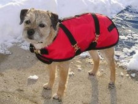 Foggy Mountain Dog Coat Nylon Turnout, Medium Sizes (13-16) Fashion