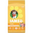 IAMS Proactive Health Smart Puppy 7 Lb. Dry Dog Food Discount