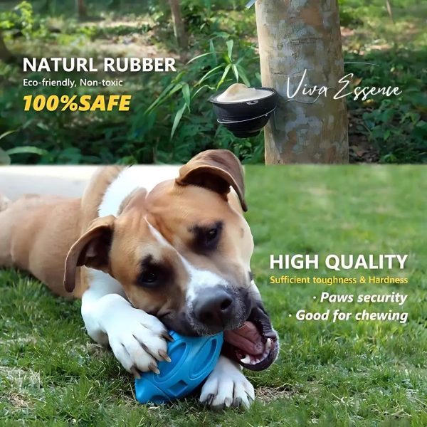 Durable Squeaky Dog Toy for Aggressive Chewers Discount