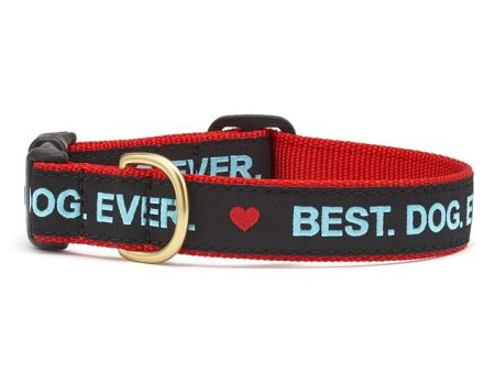 Up Country Dog Collar Best Dog Ever Supply