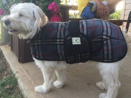 Foggy Mountain Dog Coat Snuggler, Large Sizes (18-28) Hot on Sale