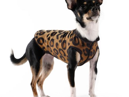 Gold Paw Dog Double Fleece, Small Sizes (6-12) Online now